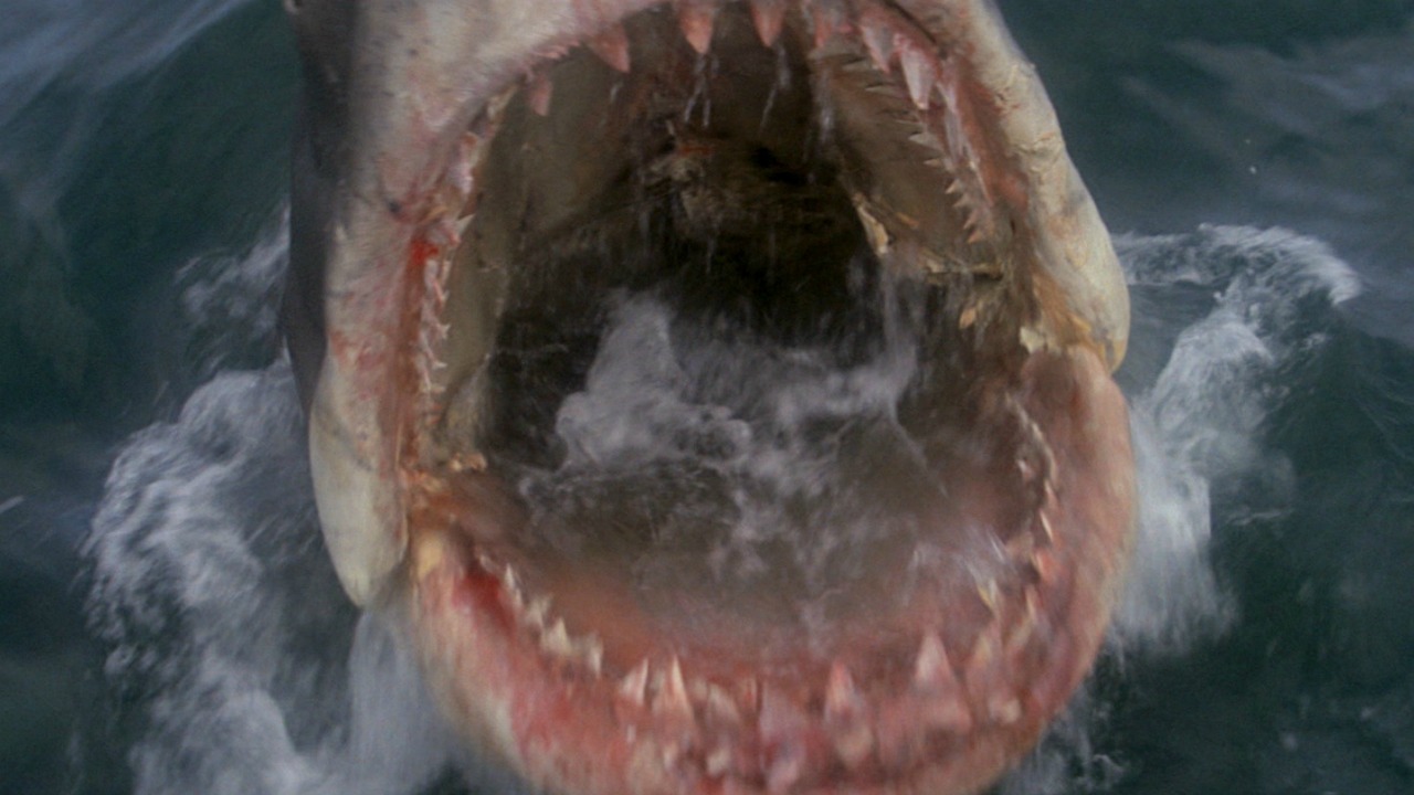 1975 Jaws