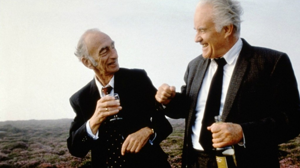 Waking Ned Devine