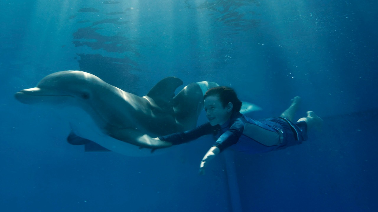 Dolphin Tale (2011)