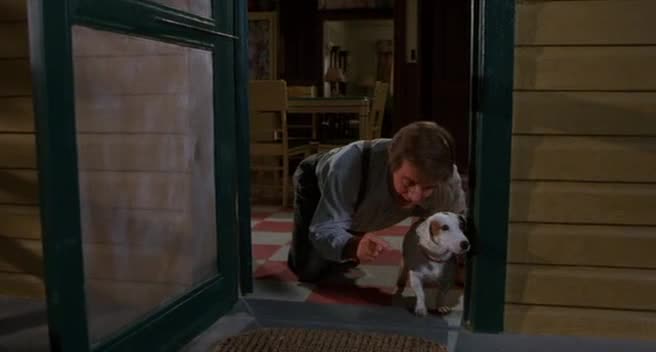 It Runs In The Family / My Summer Story